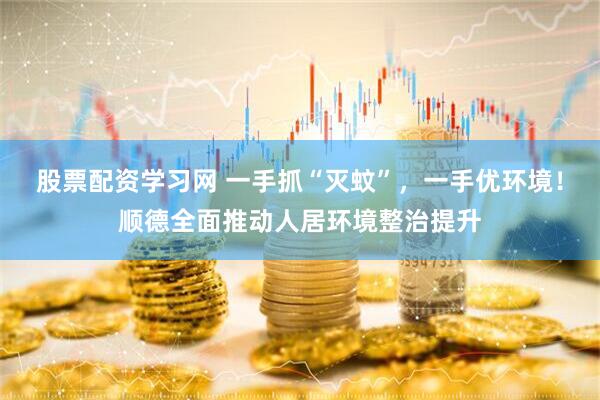 股票配资学习网 一手抓“灭蚊”，一手优环境！顺德全面推动人居环境整治提升
