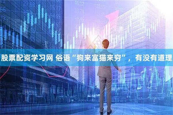 股票配资学习网 俗语“狗来富猫来穷”，有没有道理