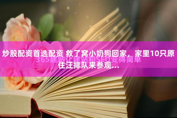 炒股配资首选配资 救了窝小奶狗回家，家里10只原住汪排队来参观...