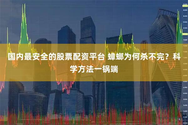 国内最安全的股票配资平台 蟑螂为何杀不完？科学方法一锅端